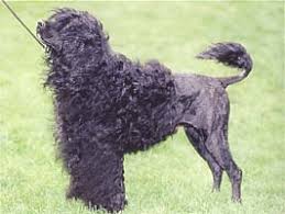 �����Ƒ��Ɍ}����O��